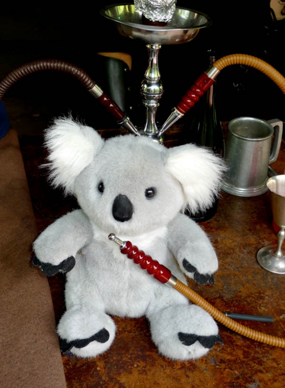 Koala Smoke